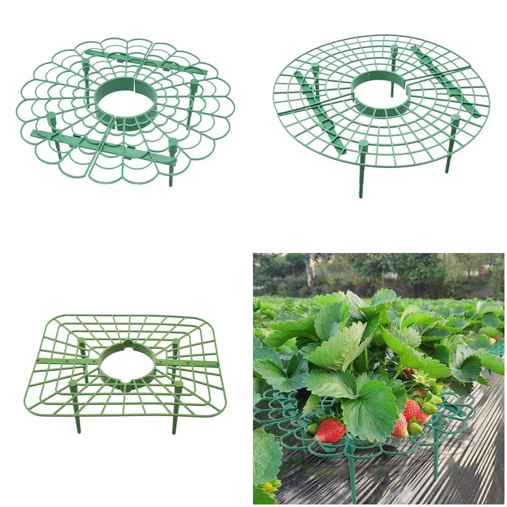 Vine Climbing Plastic - Pot Bunga Otomatis Sistem Irigasi Tetes