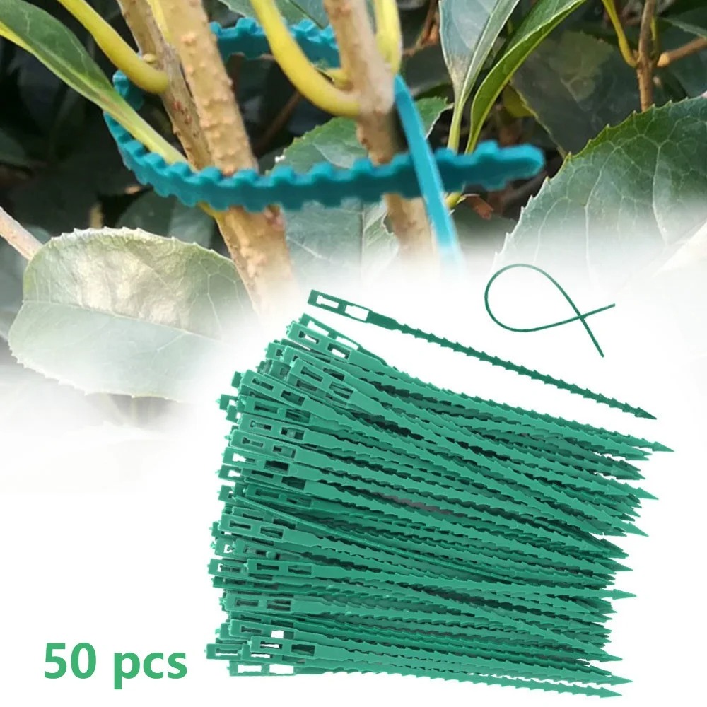 50pcs Kabel Pengikat Tanaman P - Vine Climbing Plastic ulasan dan harga
