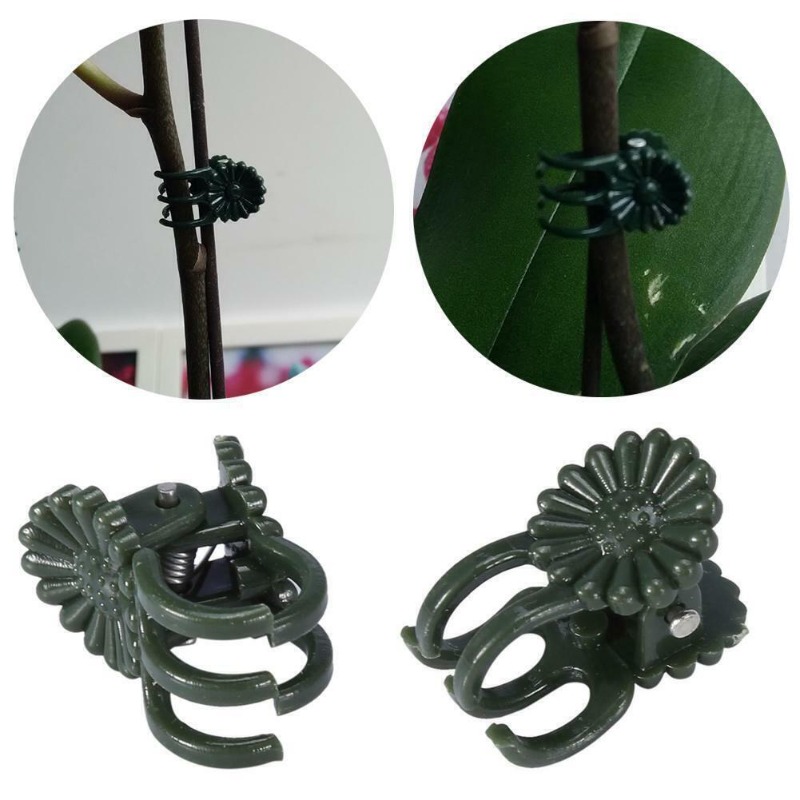 50 Buah Penjepit Tanaman Hijau - Vine Climbing Plastic ulasan dan harga