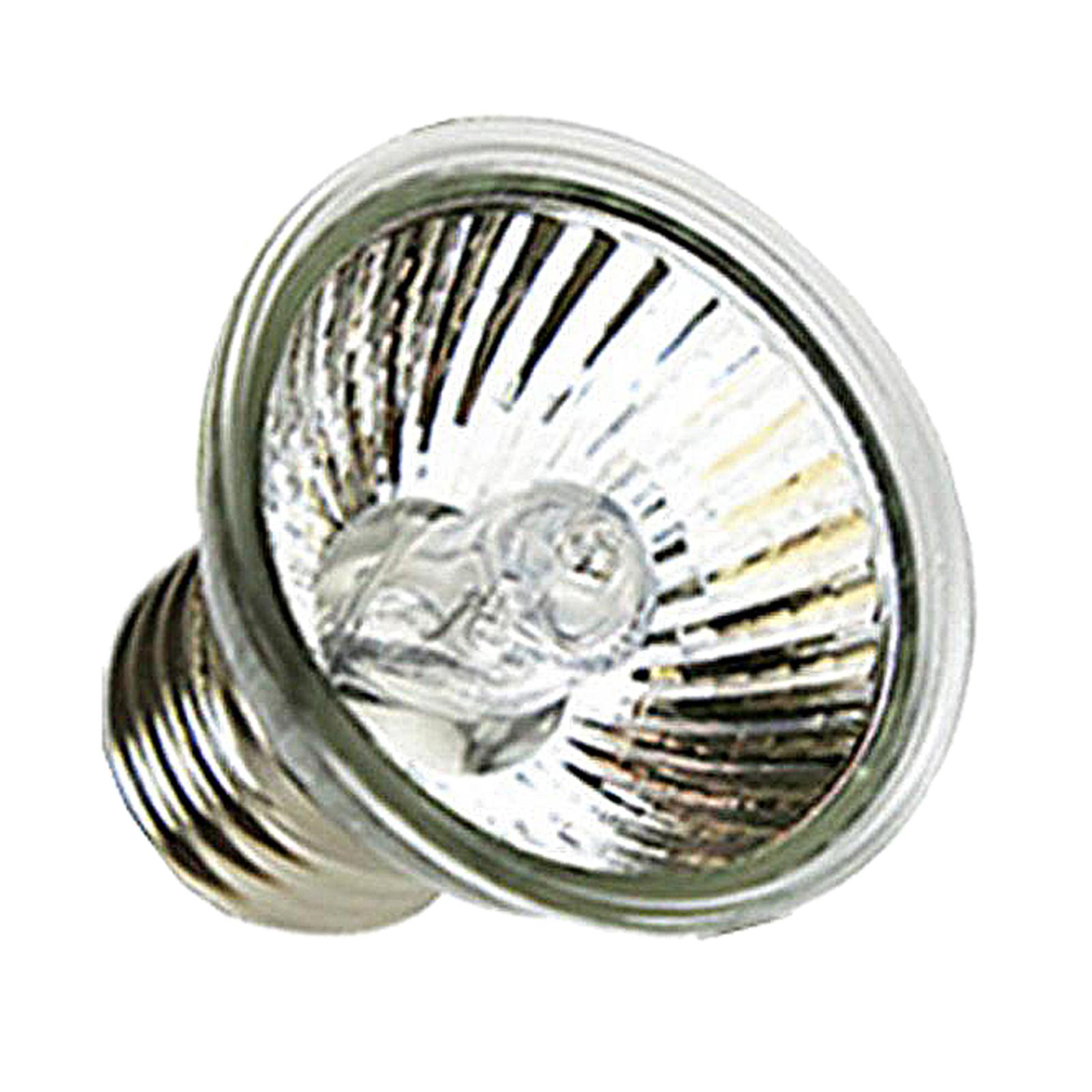 Lampu Panas Reptil UVA UVB Hal - Basking Bulb Halogen ulasan dan harga
