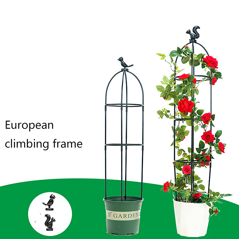 1Set Teralis Tanaman Merambat, - Vine Climbing Plastic ulasan dan harga