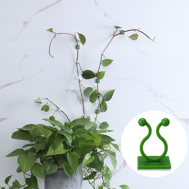 100 Buah-Klip Perlengkapan Din - Vine Climbing Plastic ulasan dan harga