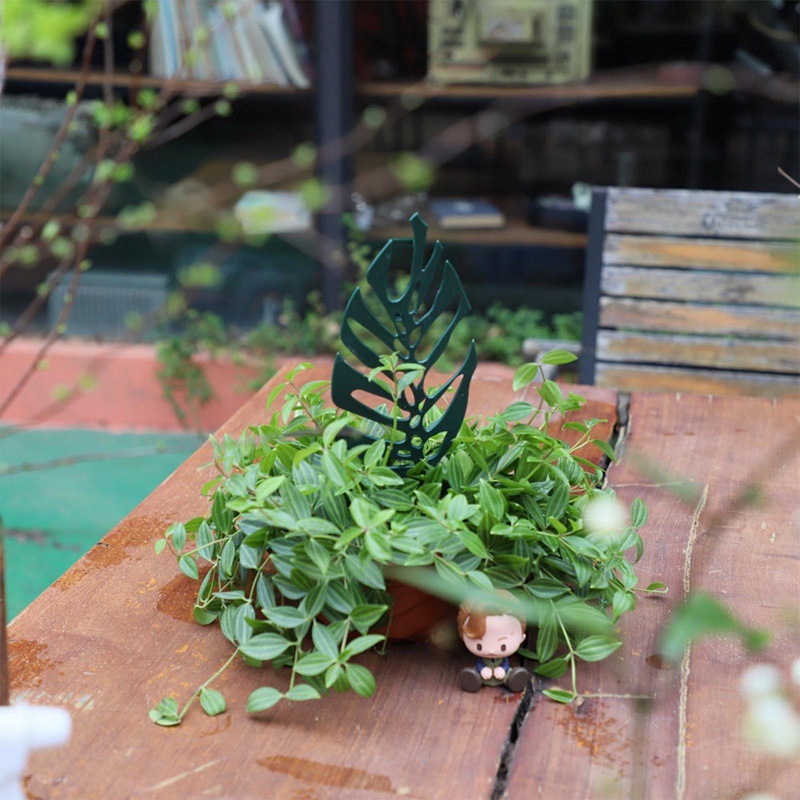 Tanaman Memanjat Dukungan Berd - Vine Climbing Plastic ulasan dan harga